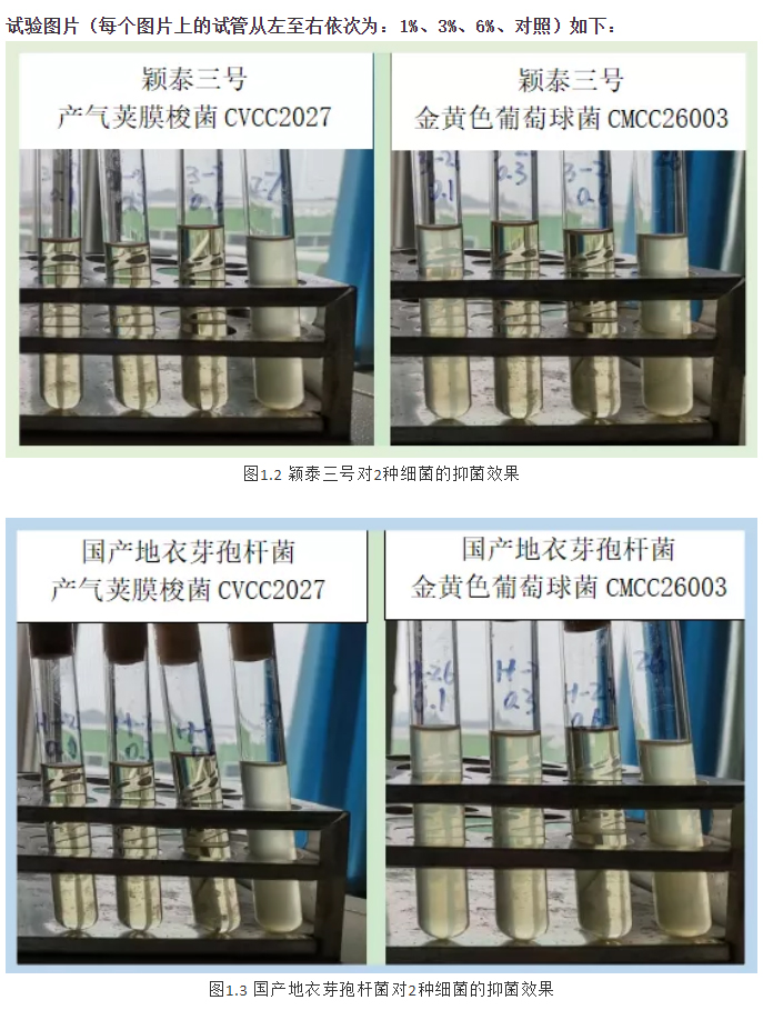實(shí)驗(yàn)室簡明評估穎泰三號抑菌效果報(bào)告_02