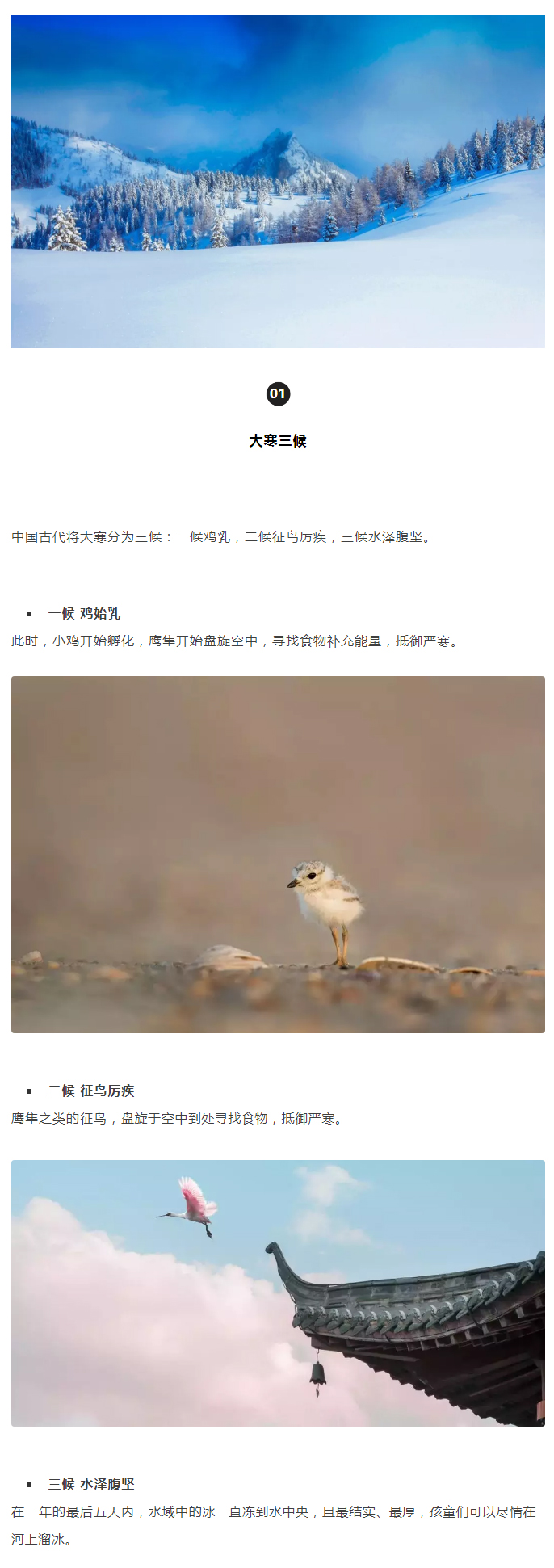 2022年（第5期）：大寒：愿您安暖幸福，歲歲平安_02