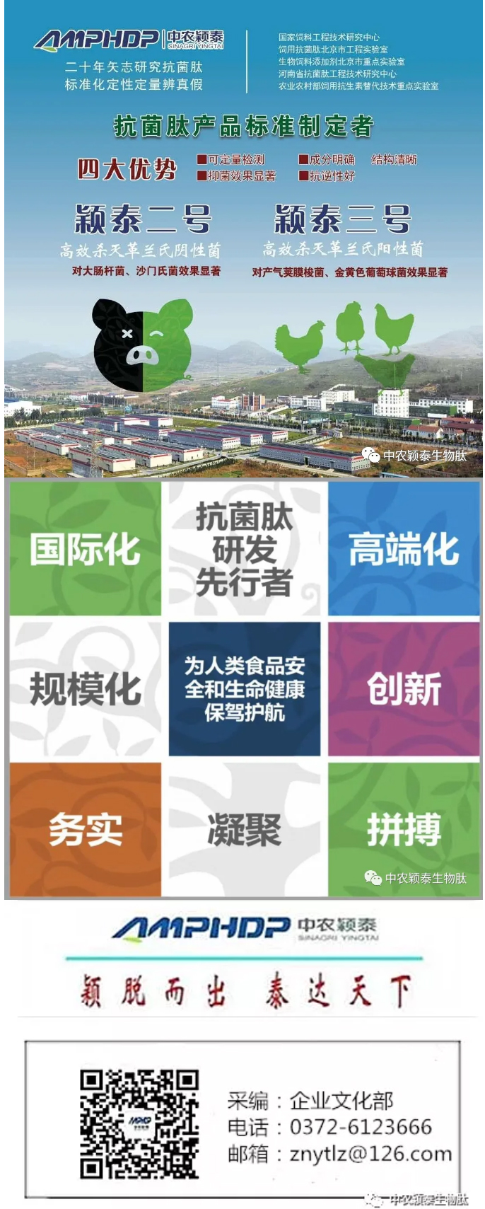 2022年（第5期）：大寒：愿您安暖幸福，歲歲平安_08