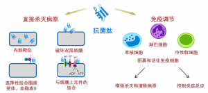 泰倍健——新型免疫增強劑，構(gòu)建核心抗病力
